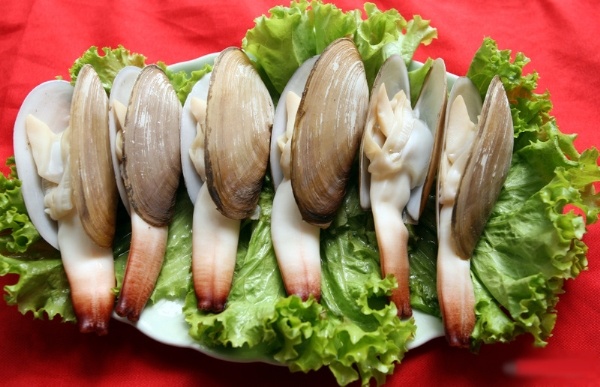 Nhung dac san mang hinh dang nhay cam hinh anh