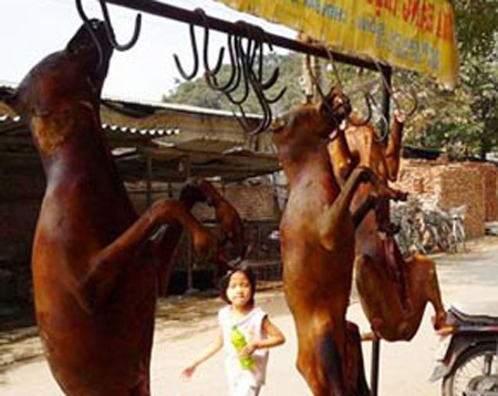 Nhung can benh dang so tu thit cho hinh anh