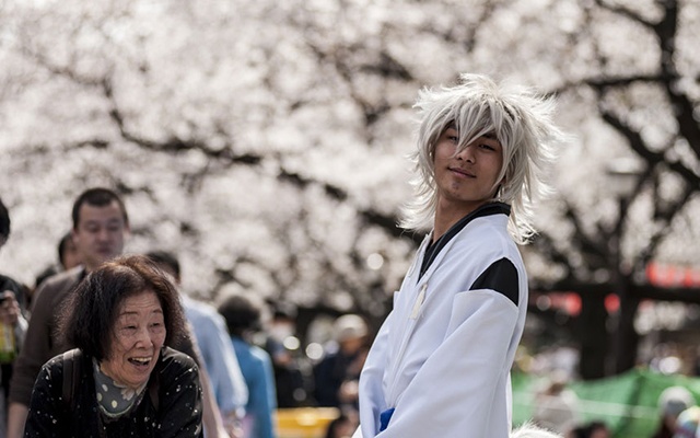 Ueno là một trong những công viên đông đúc và nổi tiếng nhất của Nhật Bản, với hơn 1.000 cây anh đào lung linh khoe sắc.