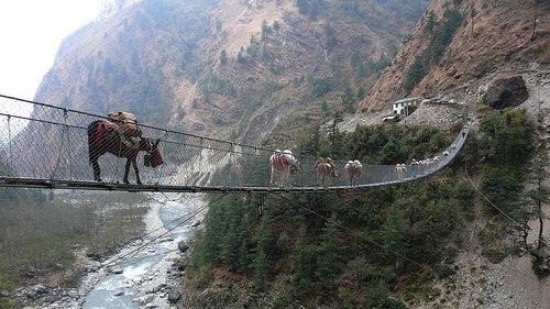 Cầu Ghasa – Nepal: Ghasa là một cây cầu rất nguy hiểm, nằm trong ngôi làng Gus ở Nepal. Cây cầu này rất nhỏ và hẹp, ngoài ra nó cũng đang xuống cấp nhanh chóng. Hàng ngày, không chỉ con người mà còn một số lượng lớn gia súc đi qua cây cầu này.