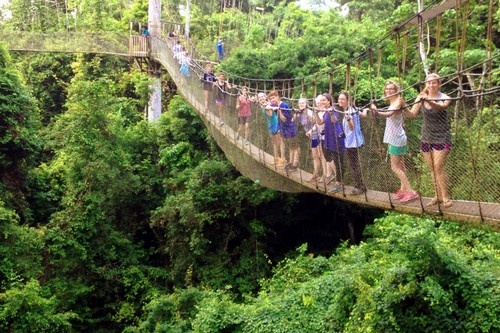 Cầu Canopy trong vườn quốc gia Kakum – Ghana: Vườn quốc gia Kakum của Ghana có tới 7 cây cầu với tổng chiều dài hơn 3 km và cao trên 50 m. Tuy nhiên chiều rộng của cầu chỉ đủ cho một người đi.