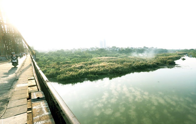 Đi trên cây cầu lịch sử Long Biên bắc qua sông Hồng những ngày này, có thể thấy rõ cánh đồng cỏ lau trải dài mênh mông.