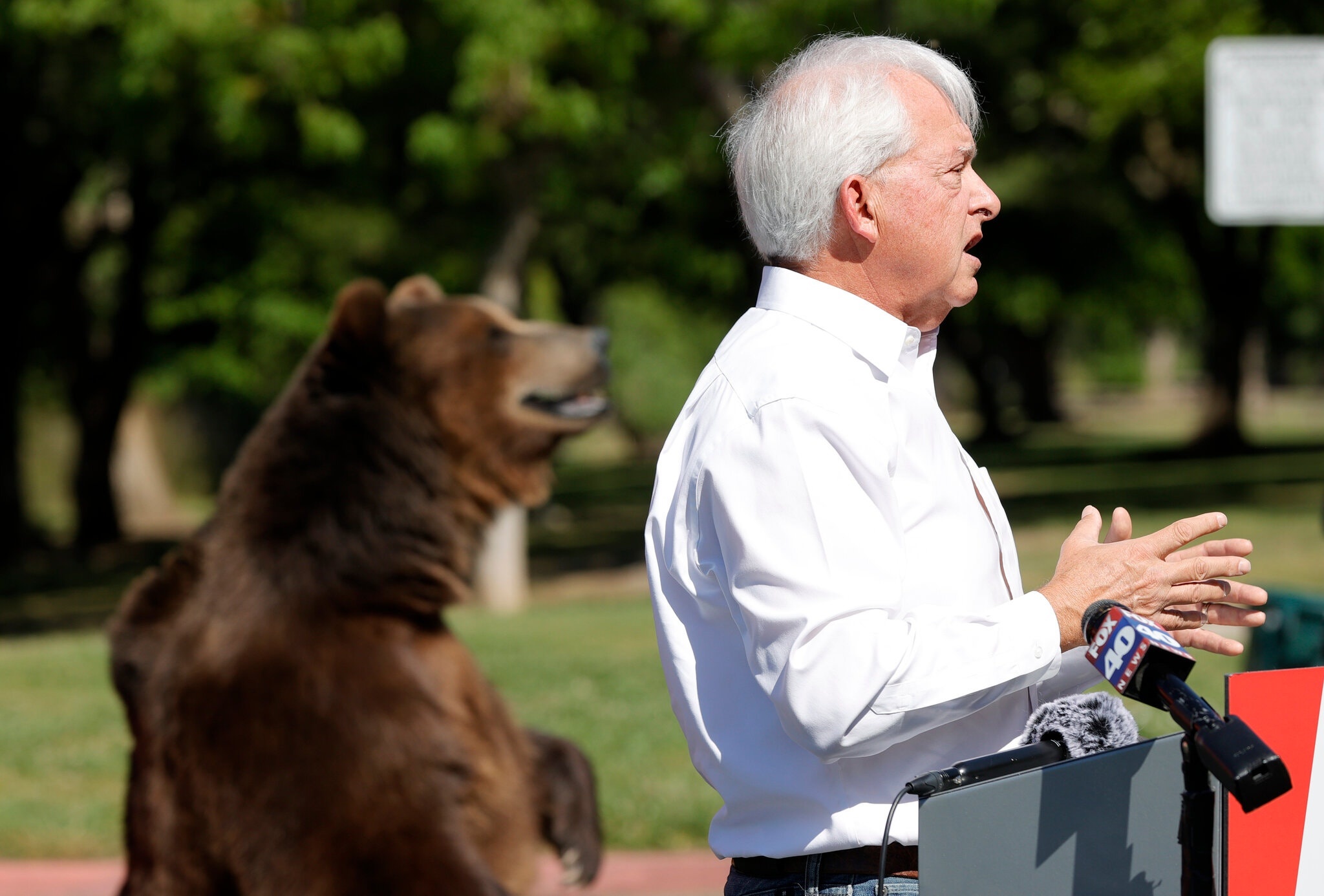 John Cox tranh cu thong doc bang anh 2