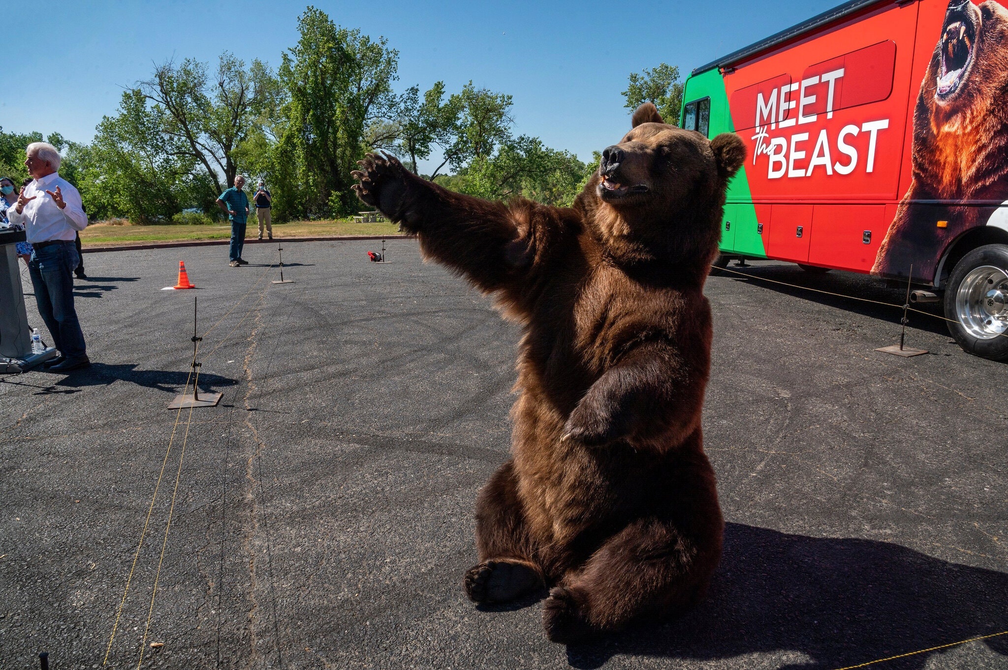 Ung vien dang Cong hoa bi chi trich lay gau lam linh vat tranh cu hinh anh