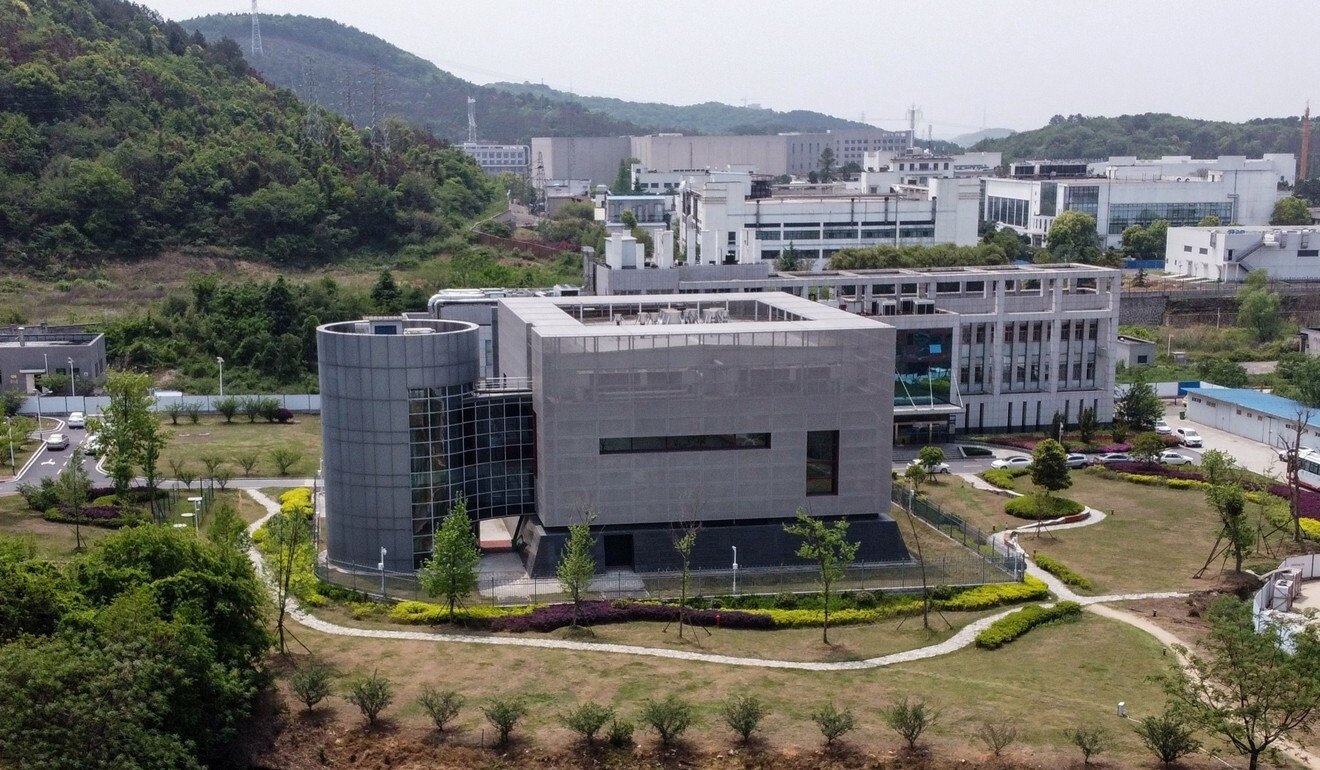 tim thay virus moi lien quan Covid-19 anh 1