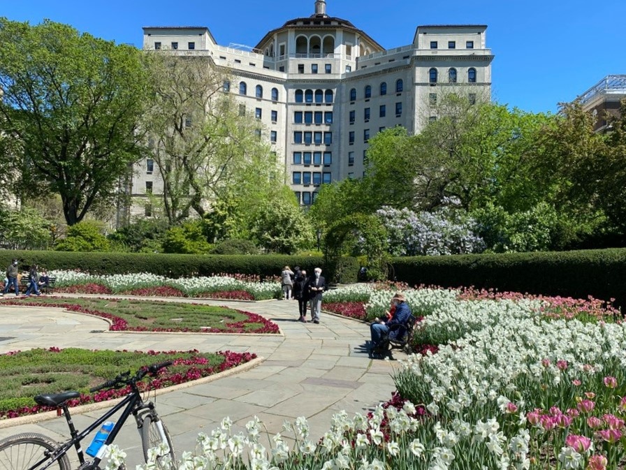 nguoi Viet tai My anh 8