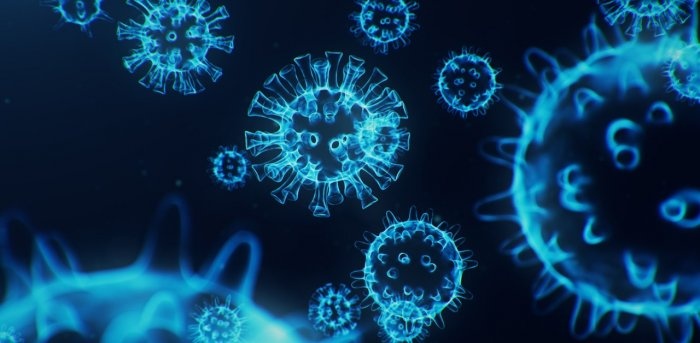 Cach thuc giup bien chung Alpha 'thong tri' tai My hinh anh