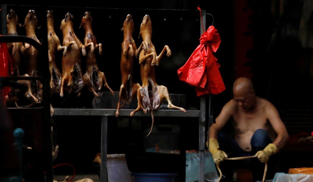 giai cuu 68 con cho tai Trung Quoc anh 2