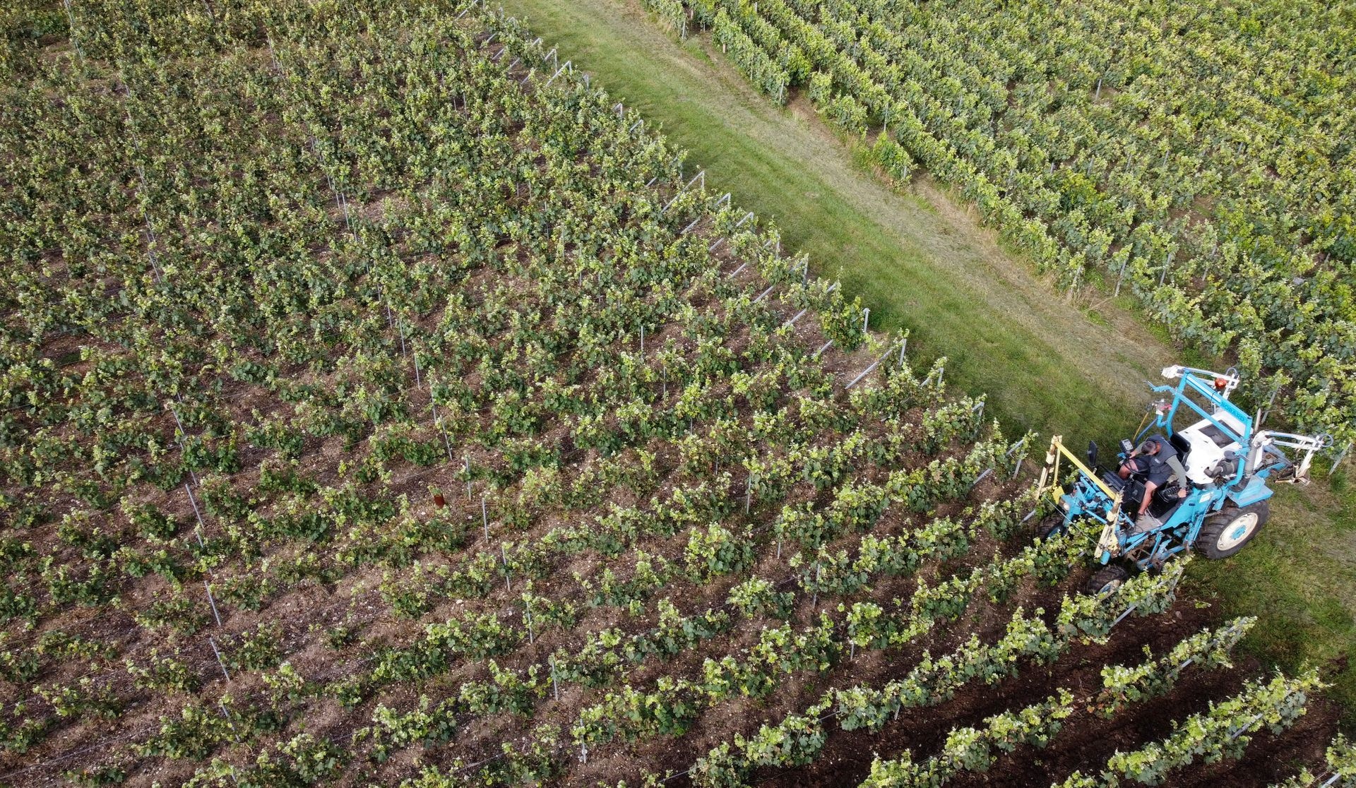 ruou vang cua Phap anh 1