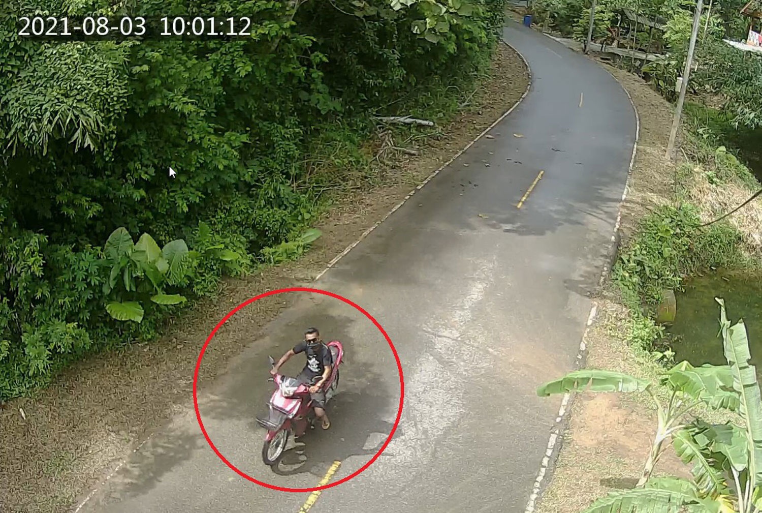 Bat giu nghi pham sat hai nu du khach Thuy Si o Phuket hinh anh