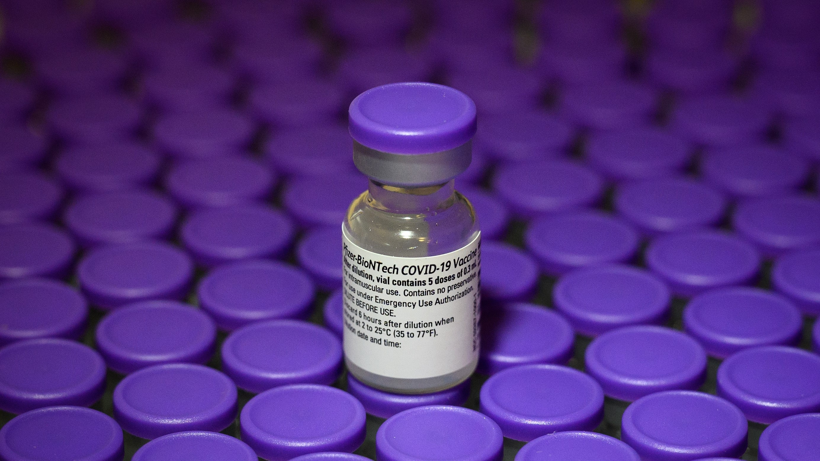 FDA phe duyet vaccine Covid-19 anh 1