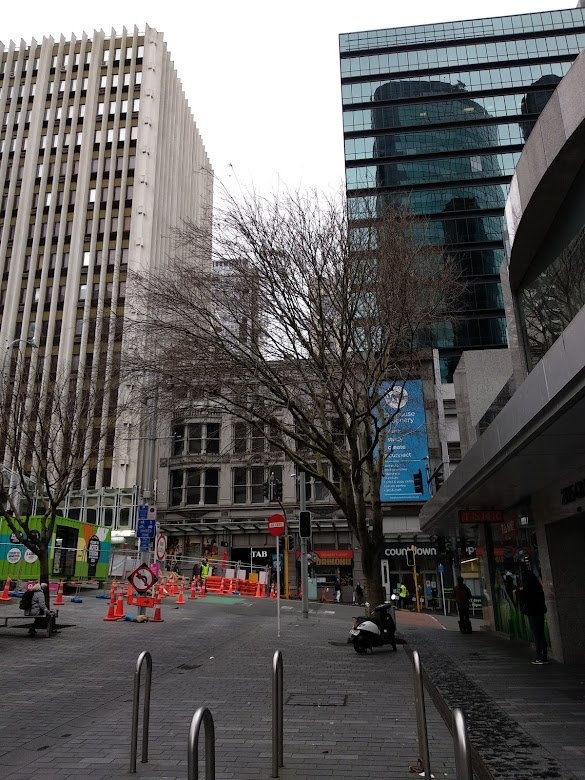 dịch Covid-19 ở New Zealand ảnh 2 dich Covid-19 o New Zealand anh 2