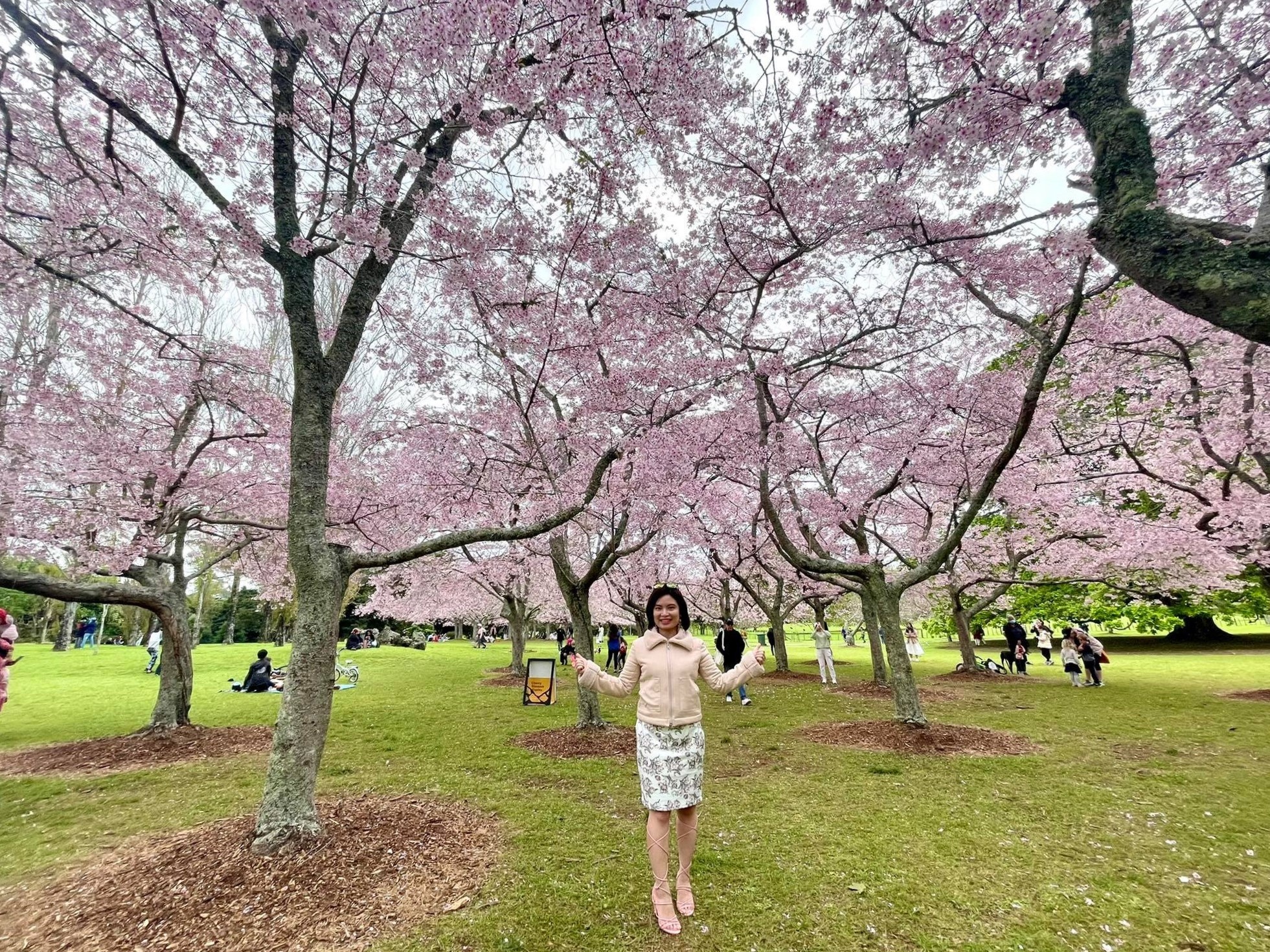 dịch Covid-19 ở New Zealand ảnh 5 dich Covid-19 o New Zealand anh 5