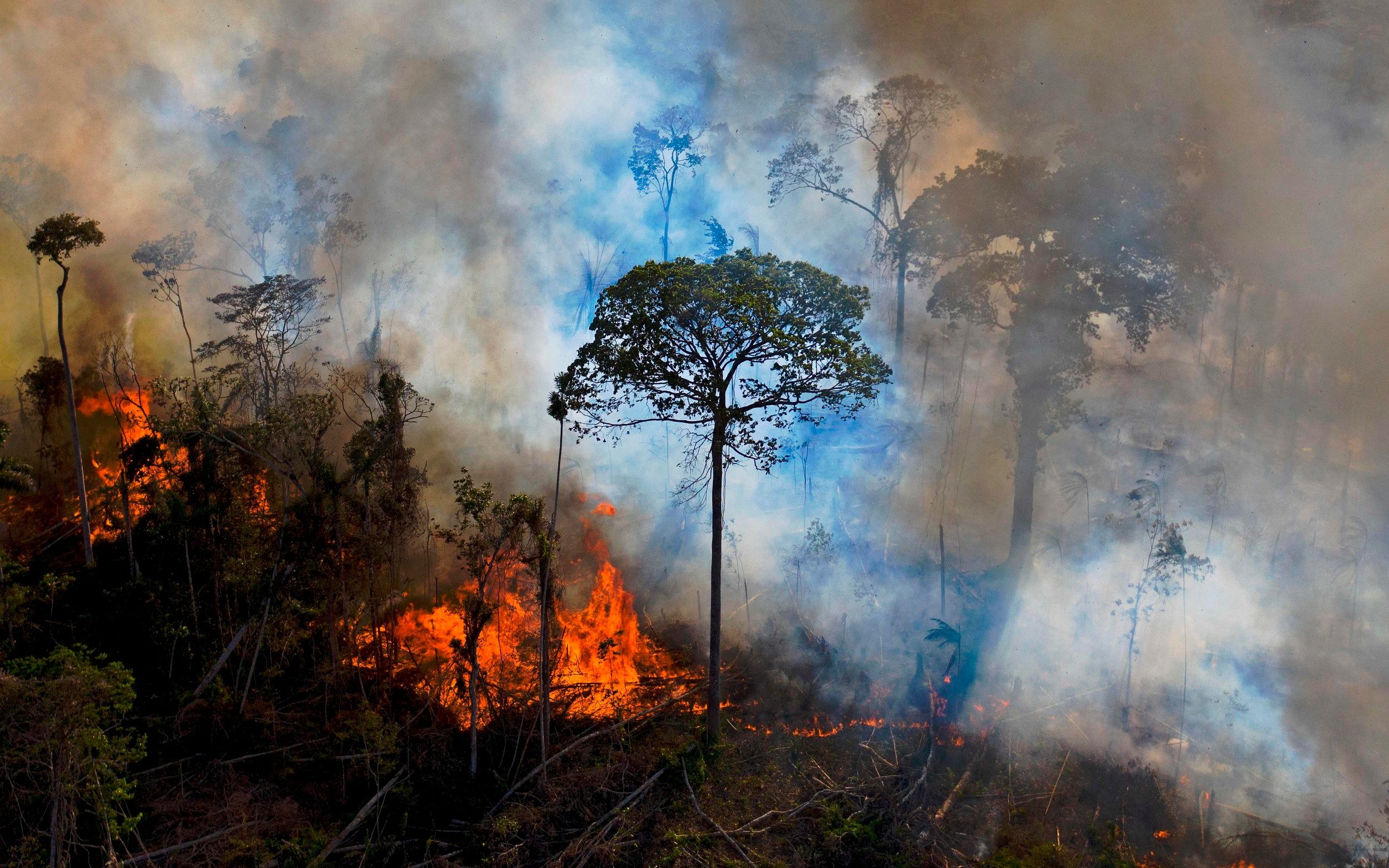 Thang loi dau tien o hoi nghi COP26 hinh anh