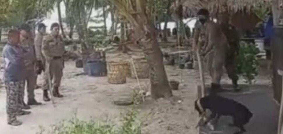 Cai chet con cho o Indonesia day tranh luan ve du lich Halal anh 3