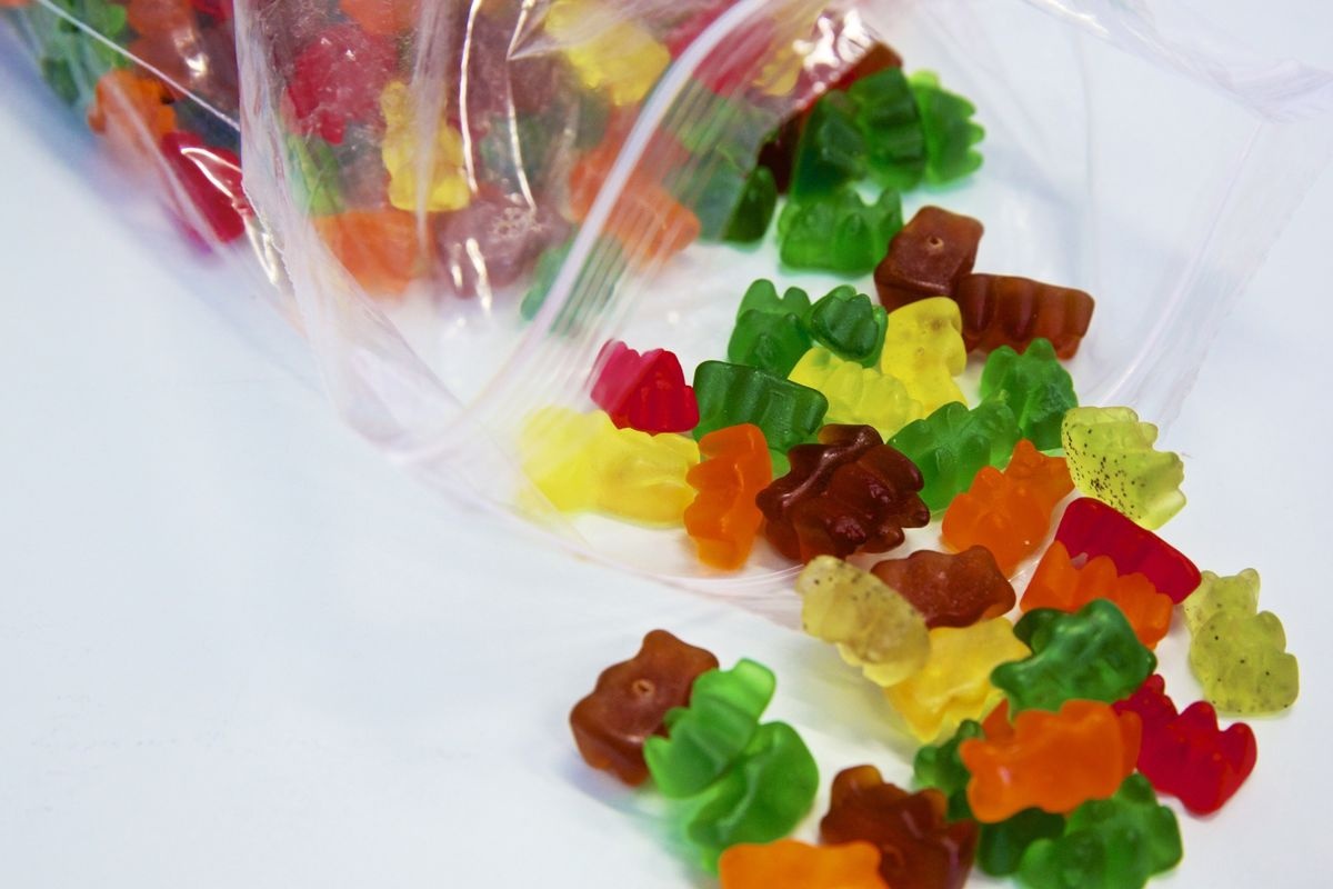 Giao su Nga 'bat mach' lam phat bang keo gau deo hinh anh