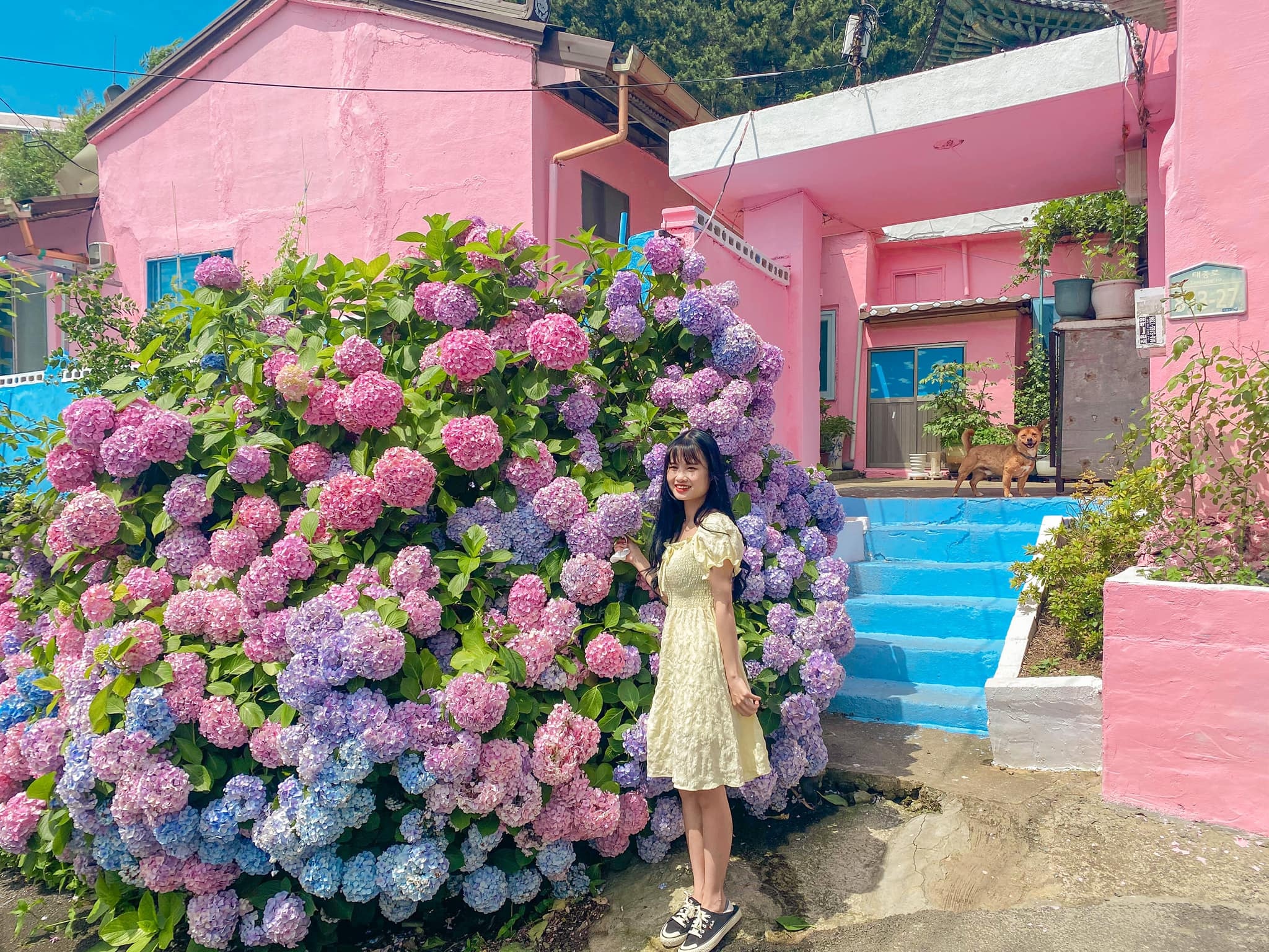 du hoc sinh Viet Nam tai Han Quoc anh 19