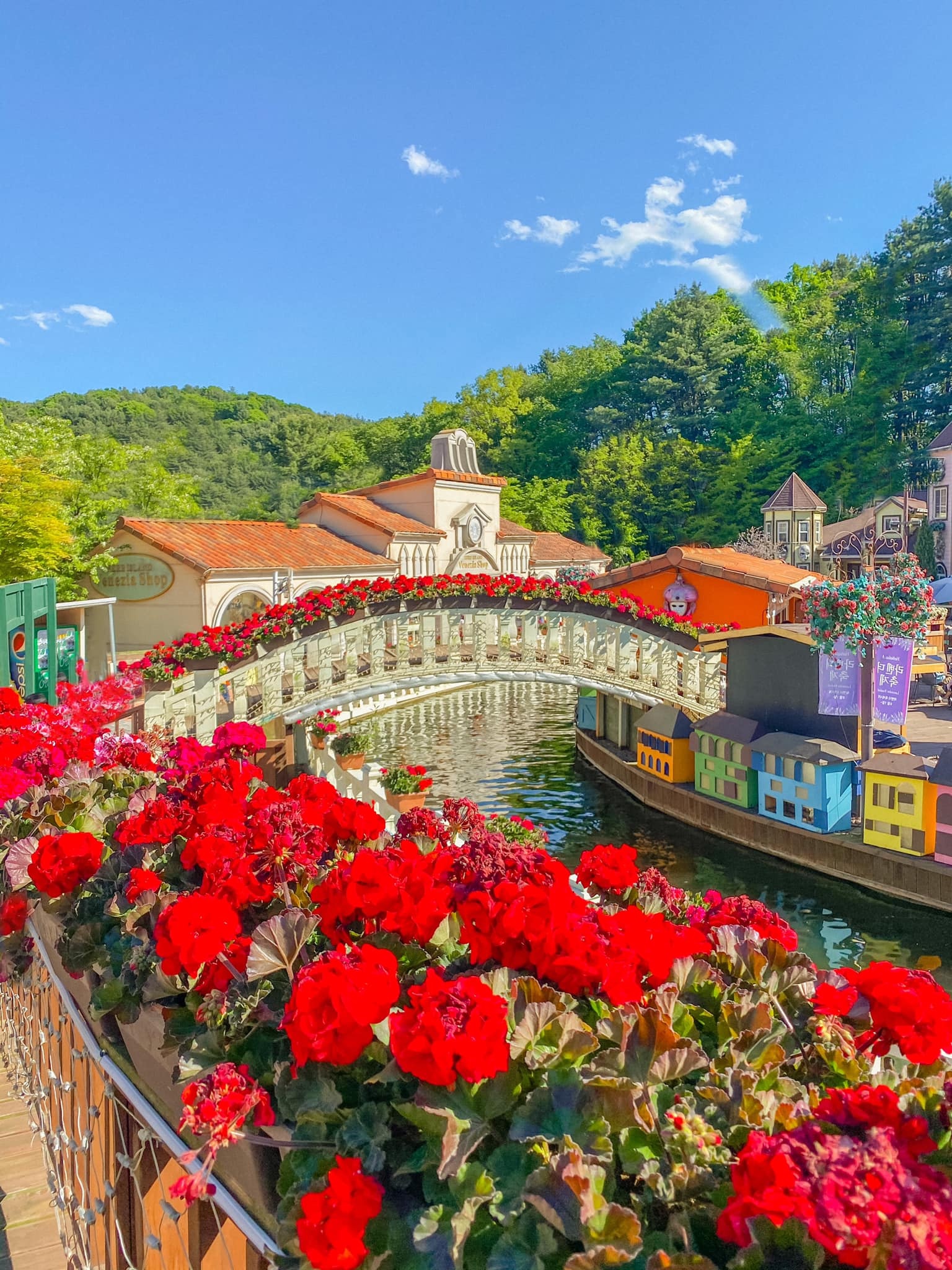 du hoc sinh Viet Nam tai Han Quoc anh 12