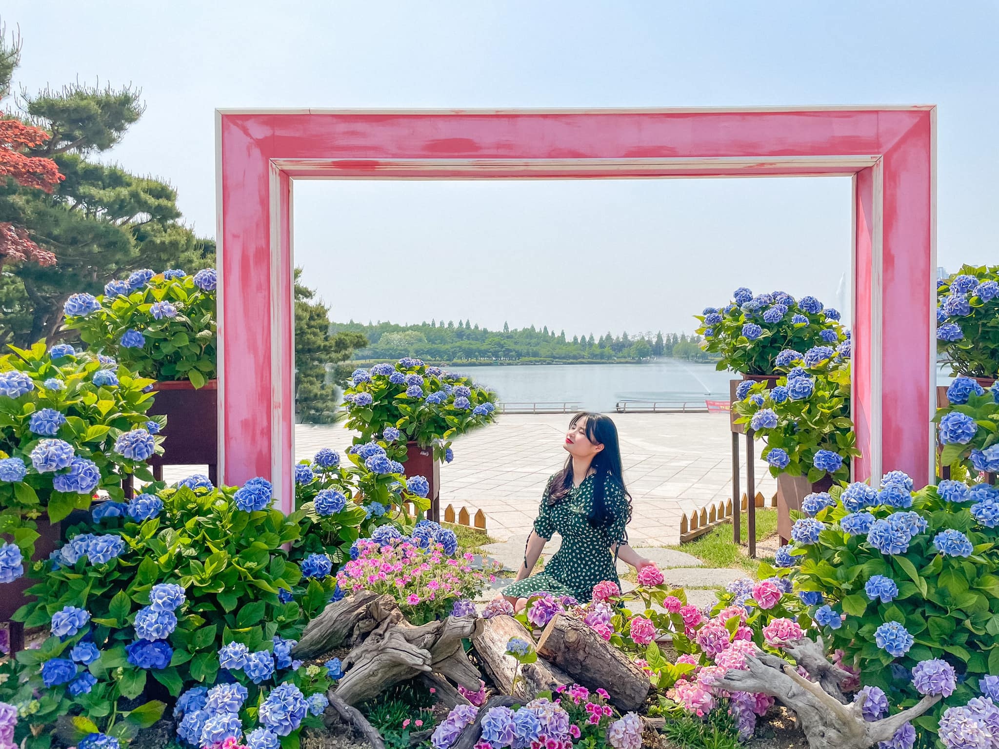 du hoc sinh Viet Nam tai Han Quoc anh 16