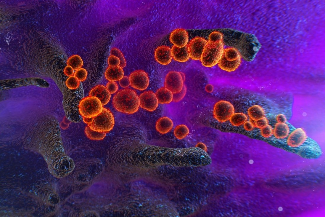 Gioi khoa hoc canh bao ve bien chung nguy hiem hon Omicron hinh anh