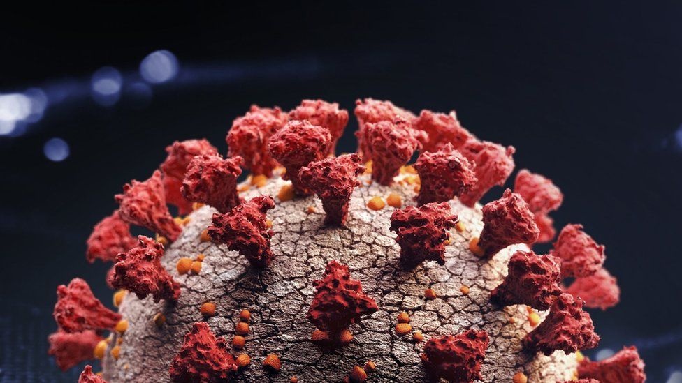 Phien ban moi cua Omicron hinh anh