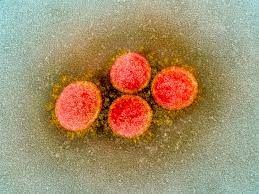 Omicron va noi lo ve di chung Covid-19 keo dai hinh anh