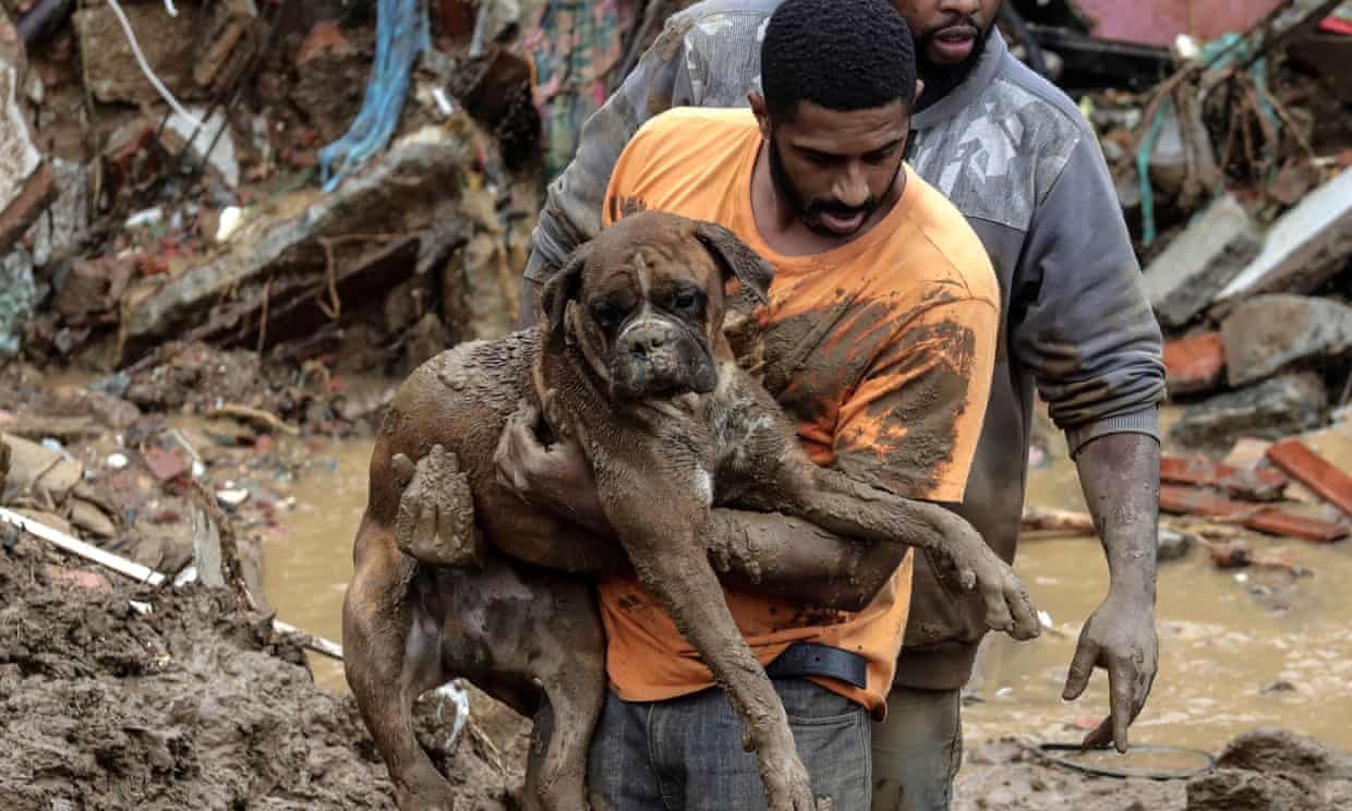Thanh pho o Brazil ban bo tinh trang tham hoa hinh anh