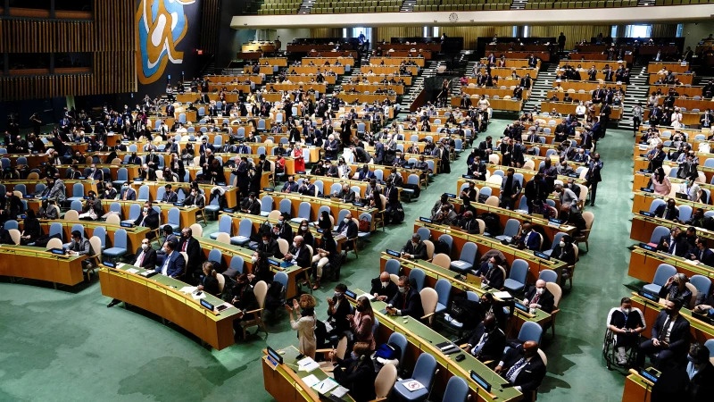 Dai hoi dong Lien Hop Quoc hop khan cap hinh anh