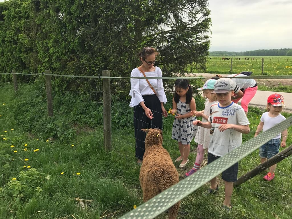 quốc gia hạnh phúc nhất thế giới ảnh 6 quoc gia hanh phuc nhat the gioi anh 6