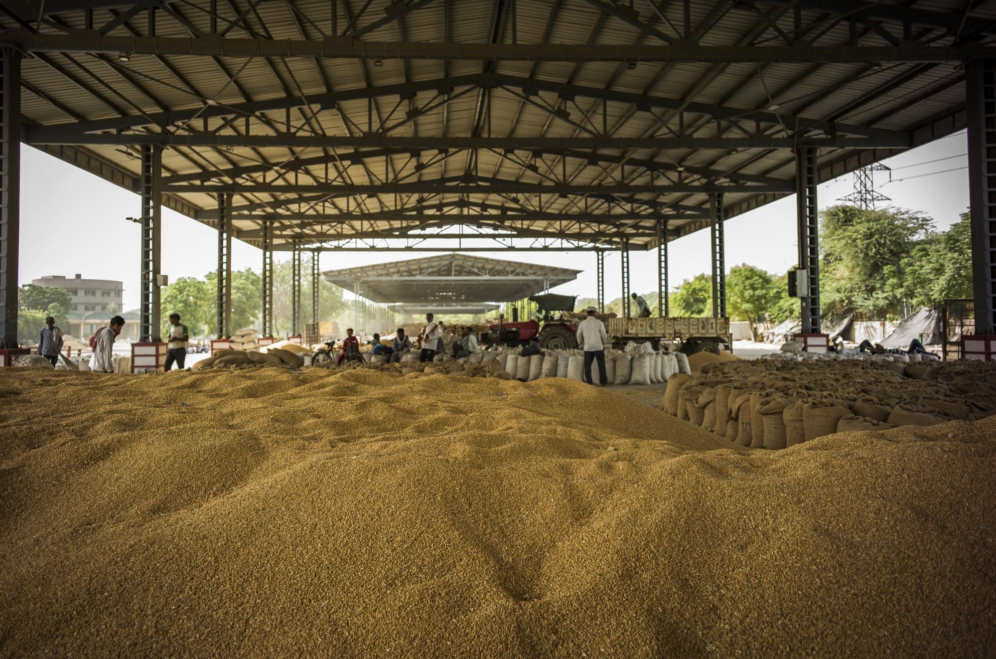 cac nuoc chau a cam xuat khau anh 4