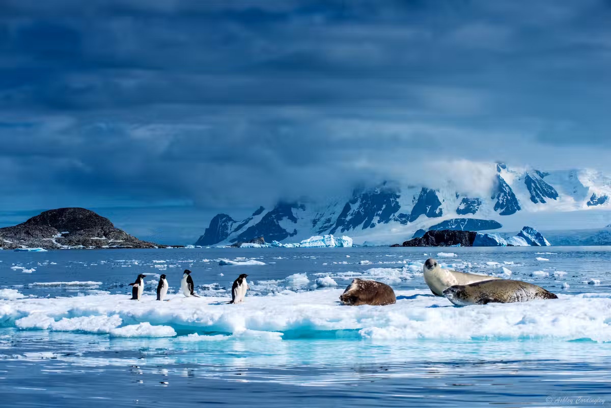 bien doi khi hau anh 1