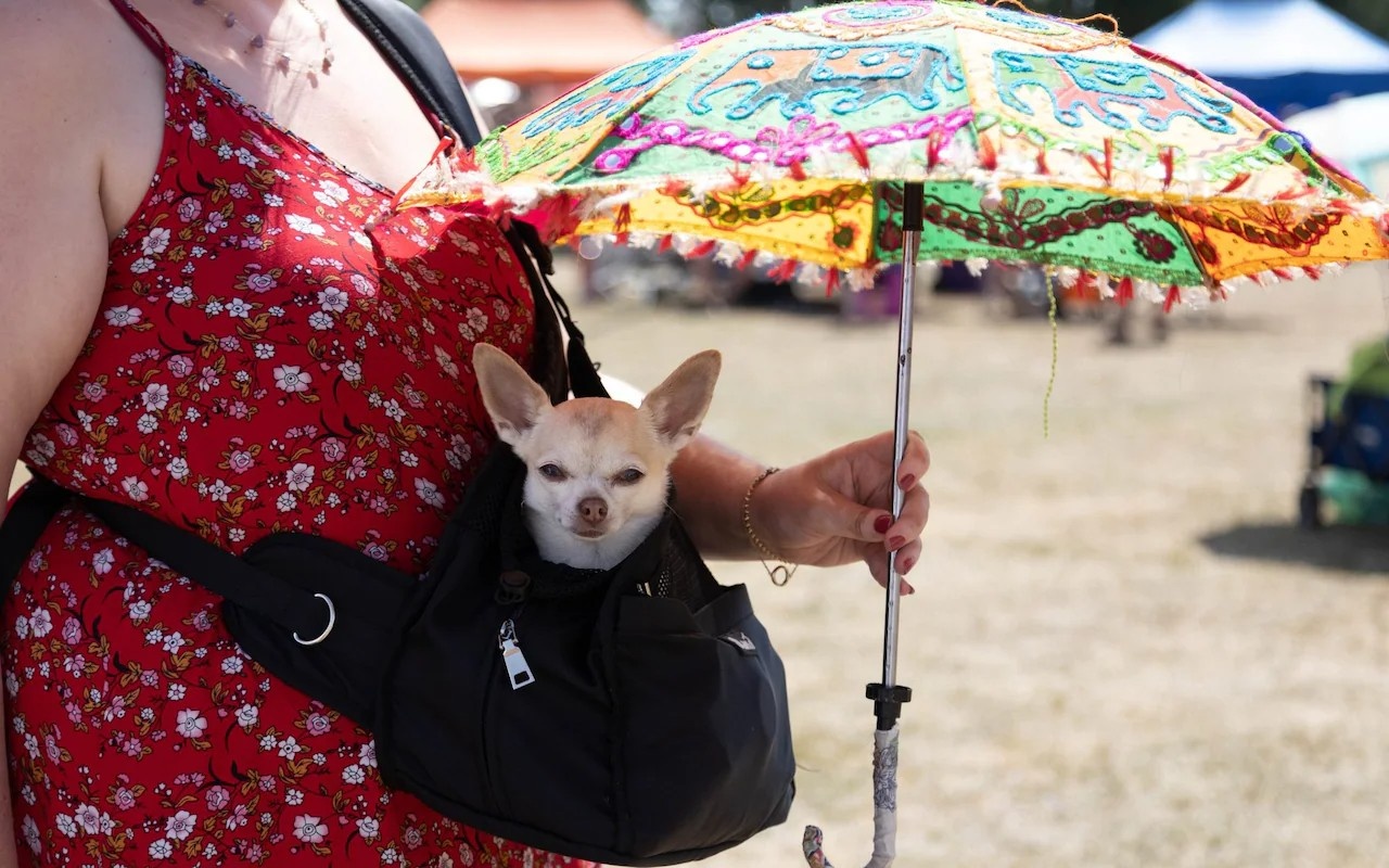 Dan Anh nhan khuyen cao chu y den hang xom o ngay bao dong do dau tien hinh anh