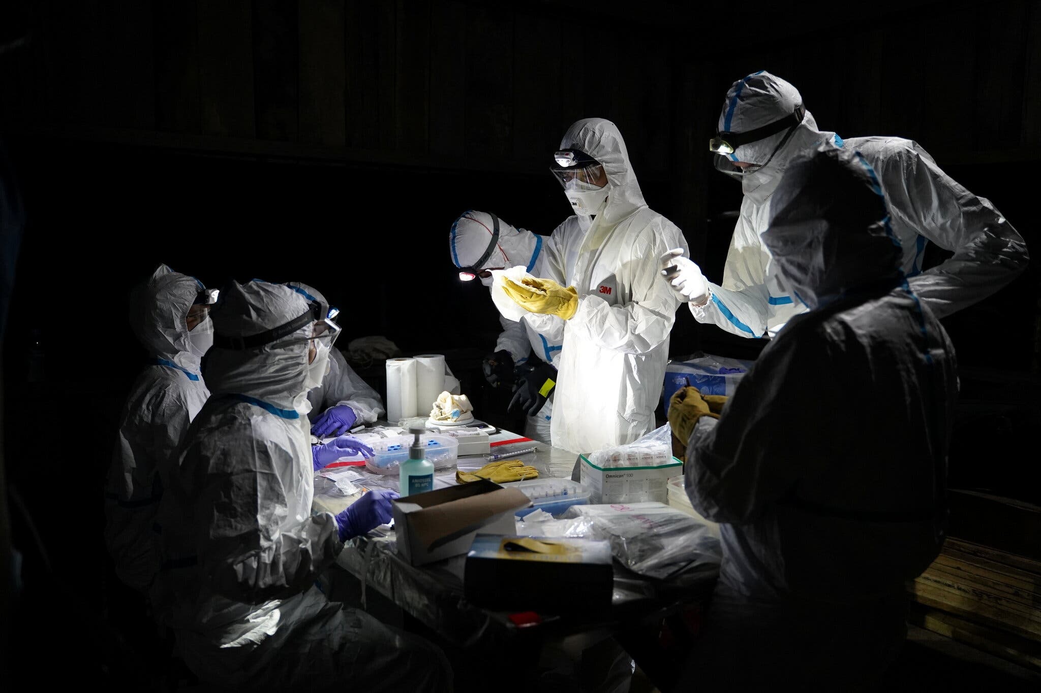 nguon goc cua covid-19 anh 3