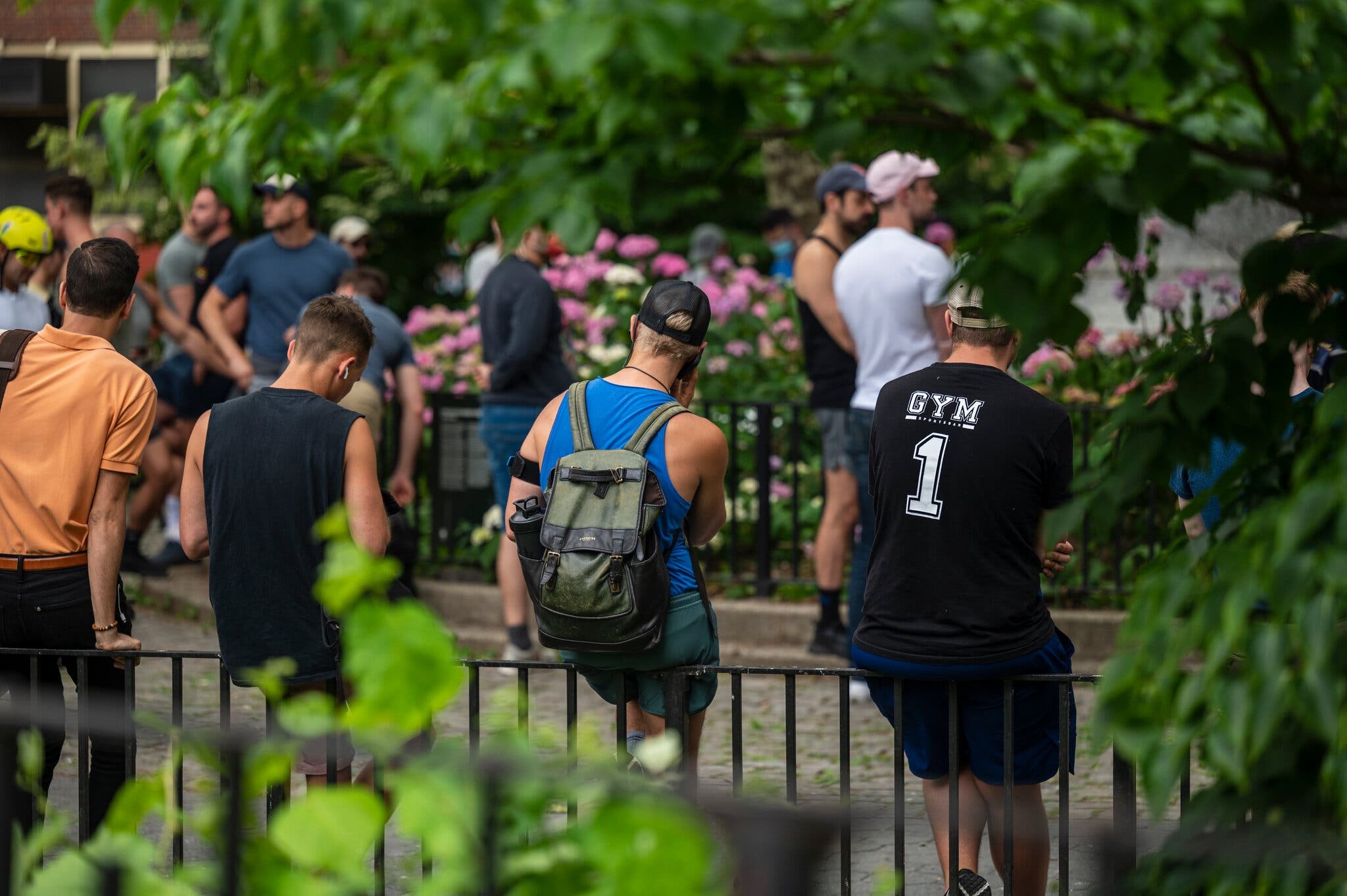 benh dau mua khi lay lan o my anh 2