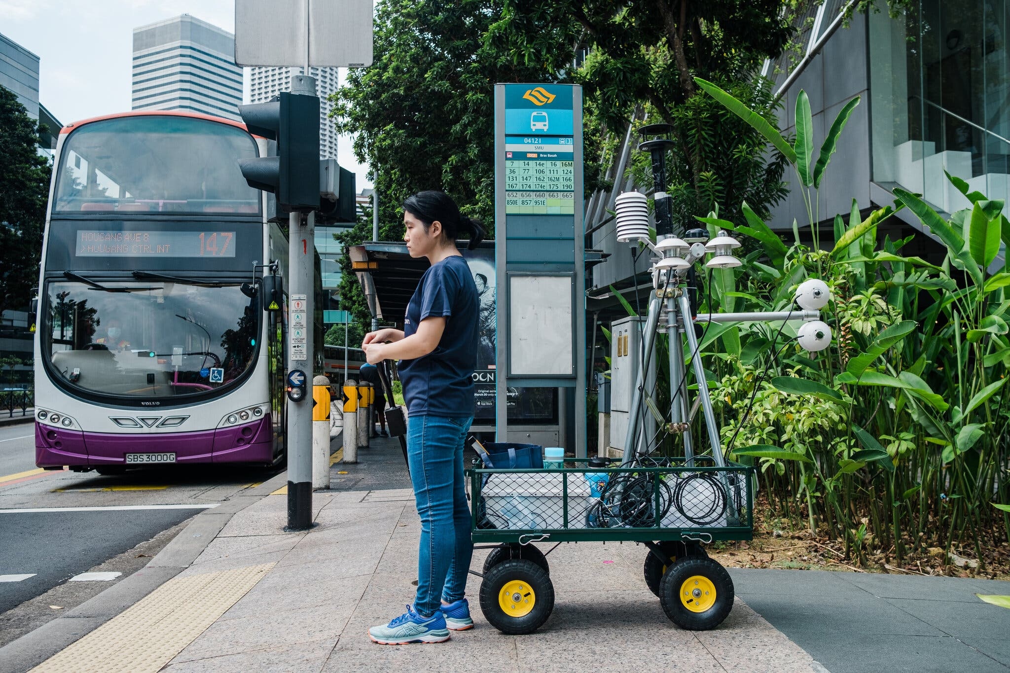 Cach Singapore 'ha nhiet' do thi hinh anh