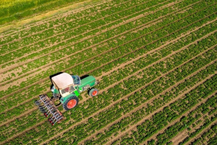 Quan chuc Dan Mach tiet lo bi quyet voi Viet Nam hinh anh