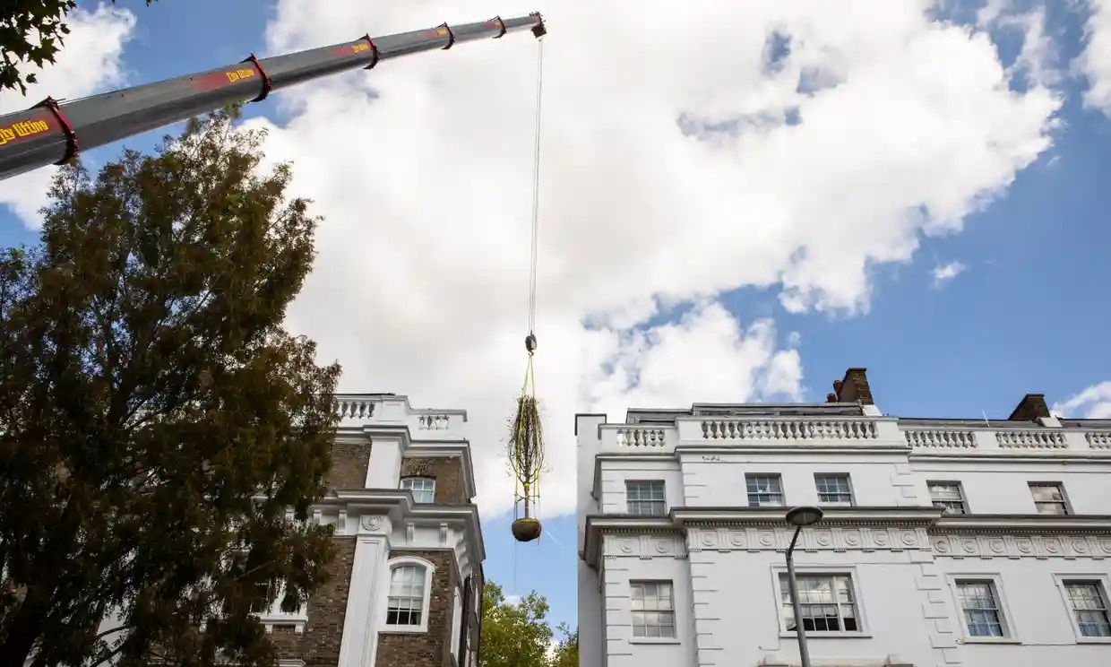 ty phu anh chan duong anh 1