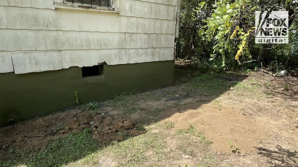 chau gai ty phu my anh 1