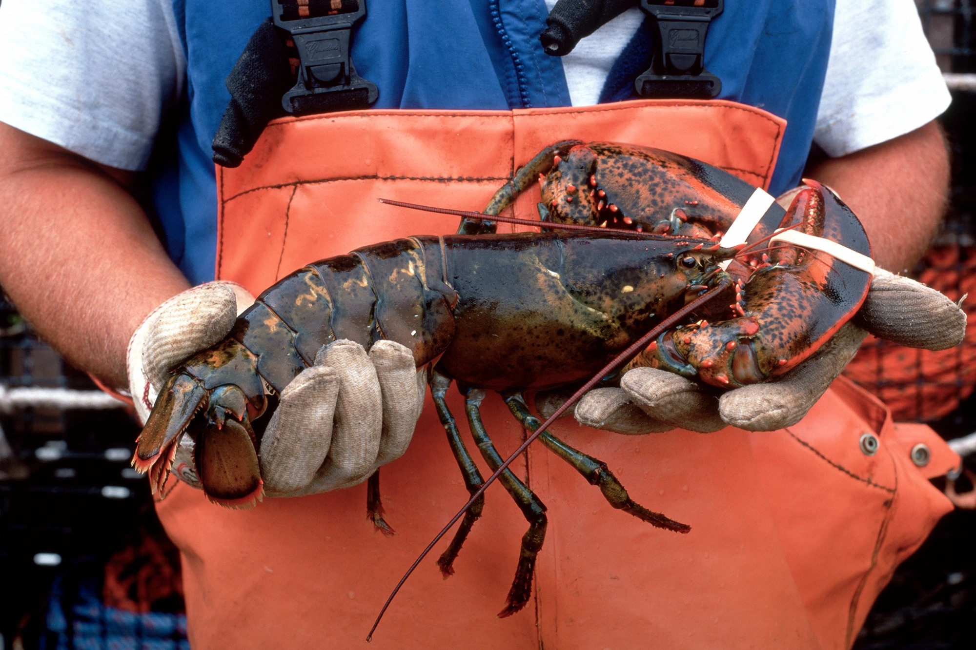 Bang My day song vi tom hum bi liet vao danh sach do hinh anh