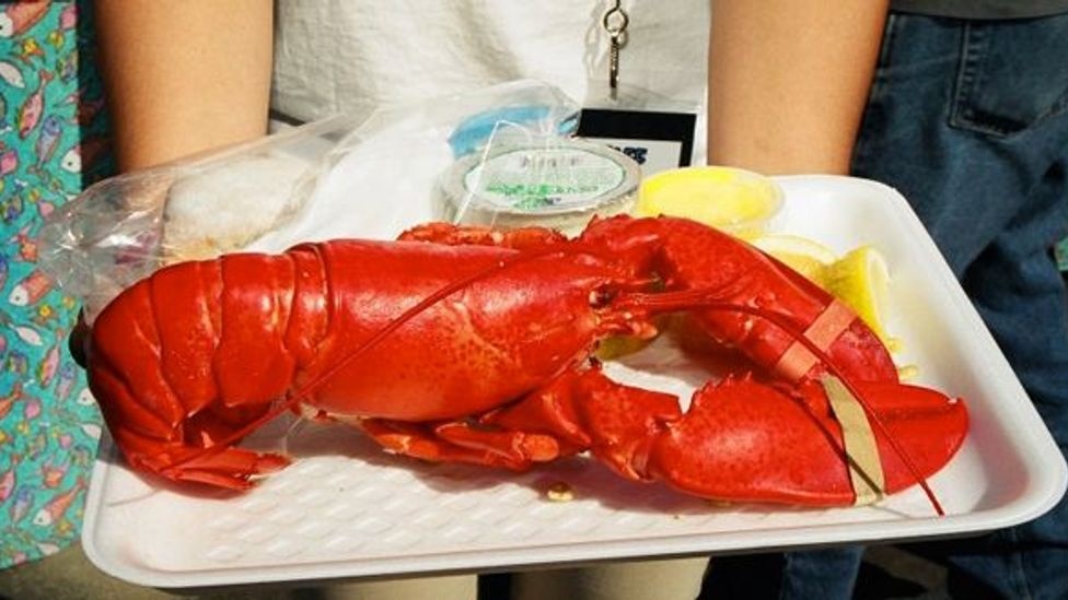 Tom hum My bien mat khoi thuc don hinh anh