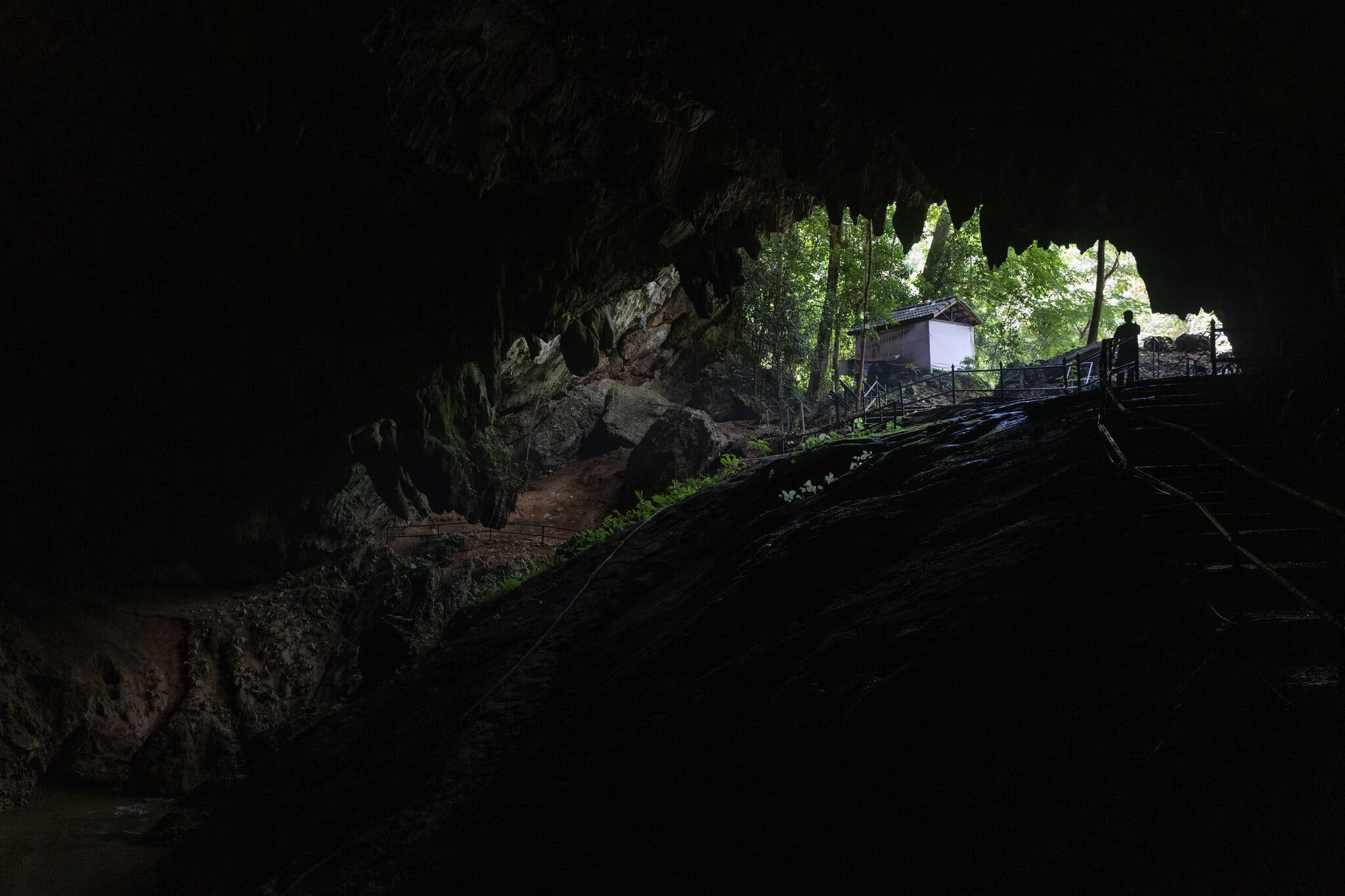 Hy vong moi tai Tham Luang bon nam sau cuoc giai cuu than ky hinh anh