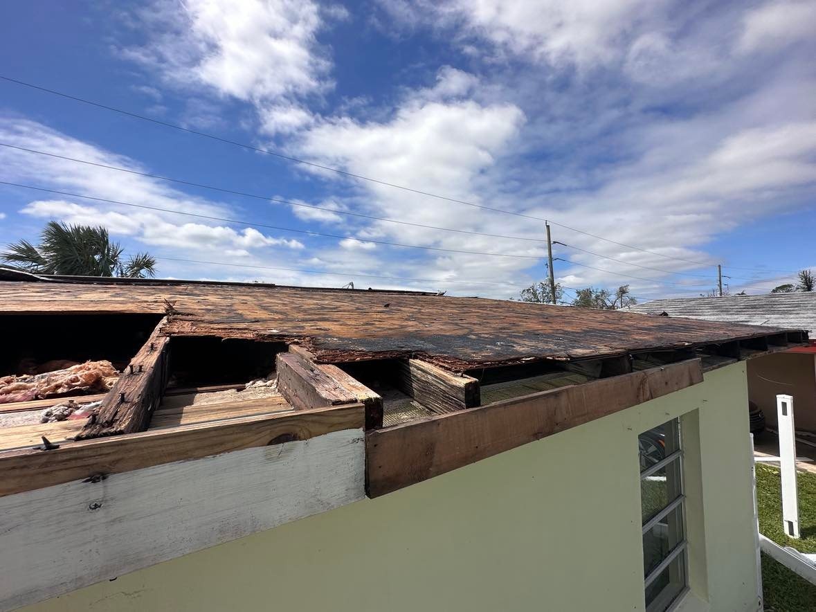 người Việt ở Florida ảnh 6 nguoi Viet o Florida anh 6