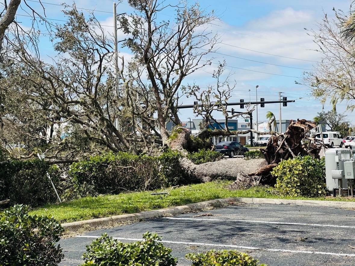 người Việt ở Florida ảnh 13 nguoi Viet o Florida anh 13