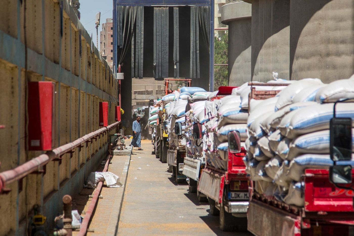 dong usd tang gia anh 2