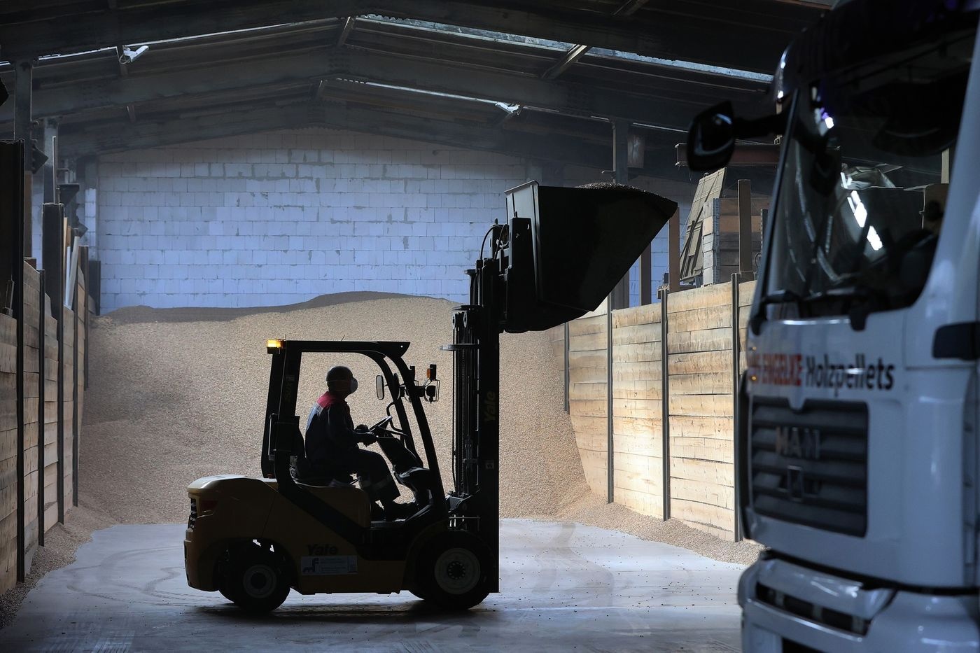 Dan chau Au tranh nhau tim cui truoc mua dong hinh anh