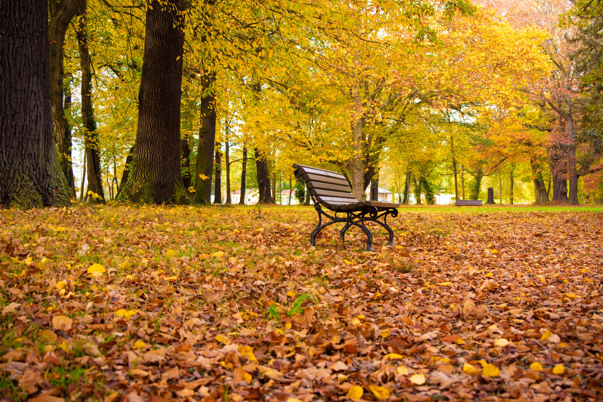 mùa thu ở châu âu ảnh 31 mua thu o chau au anh 31