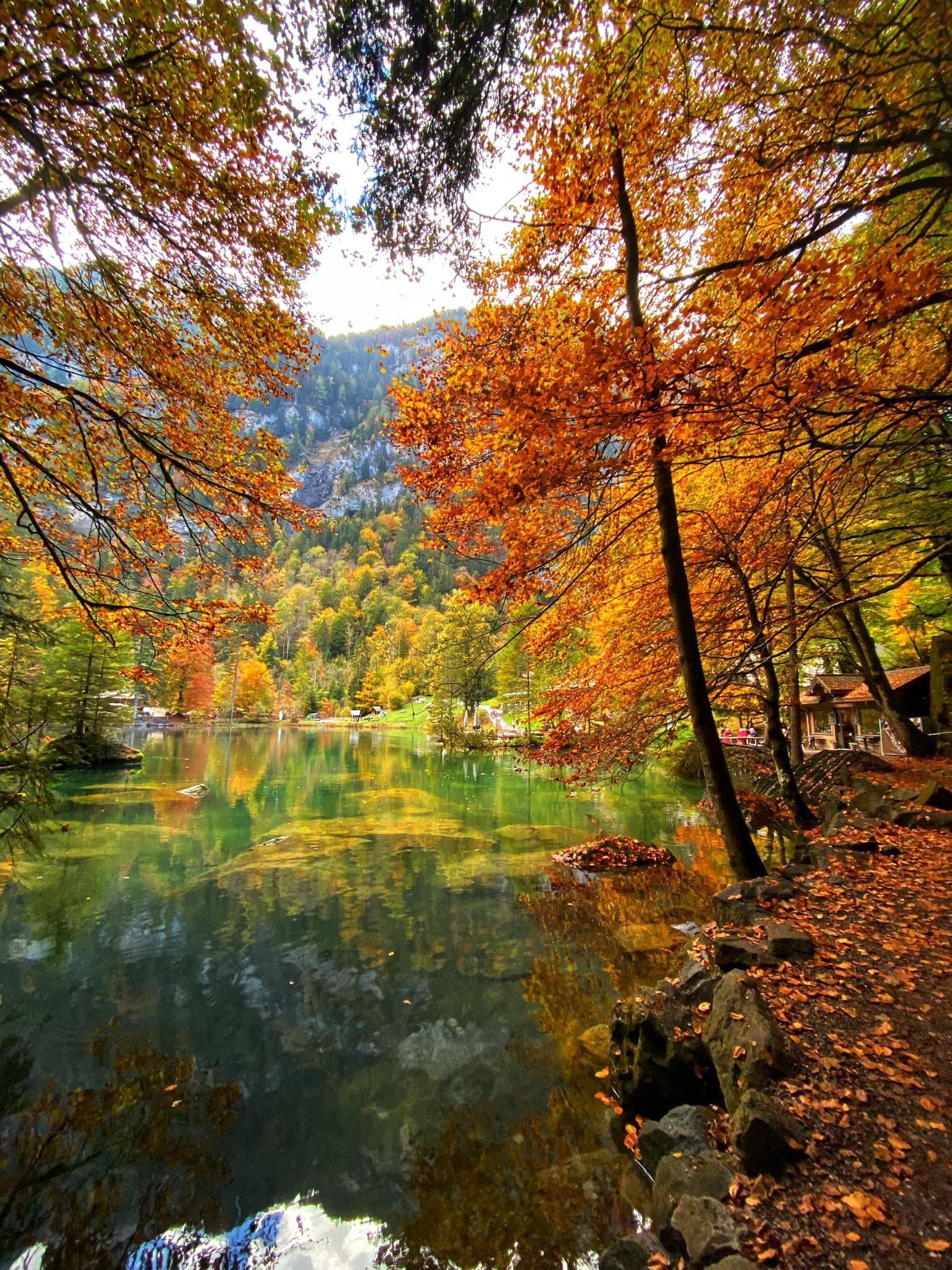 mùa thu ở châu âu ảnh 20 mua thu o chau au anh 20