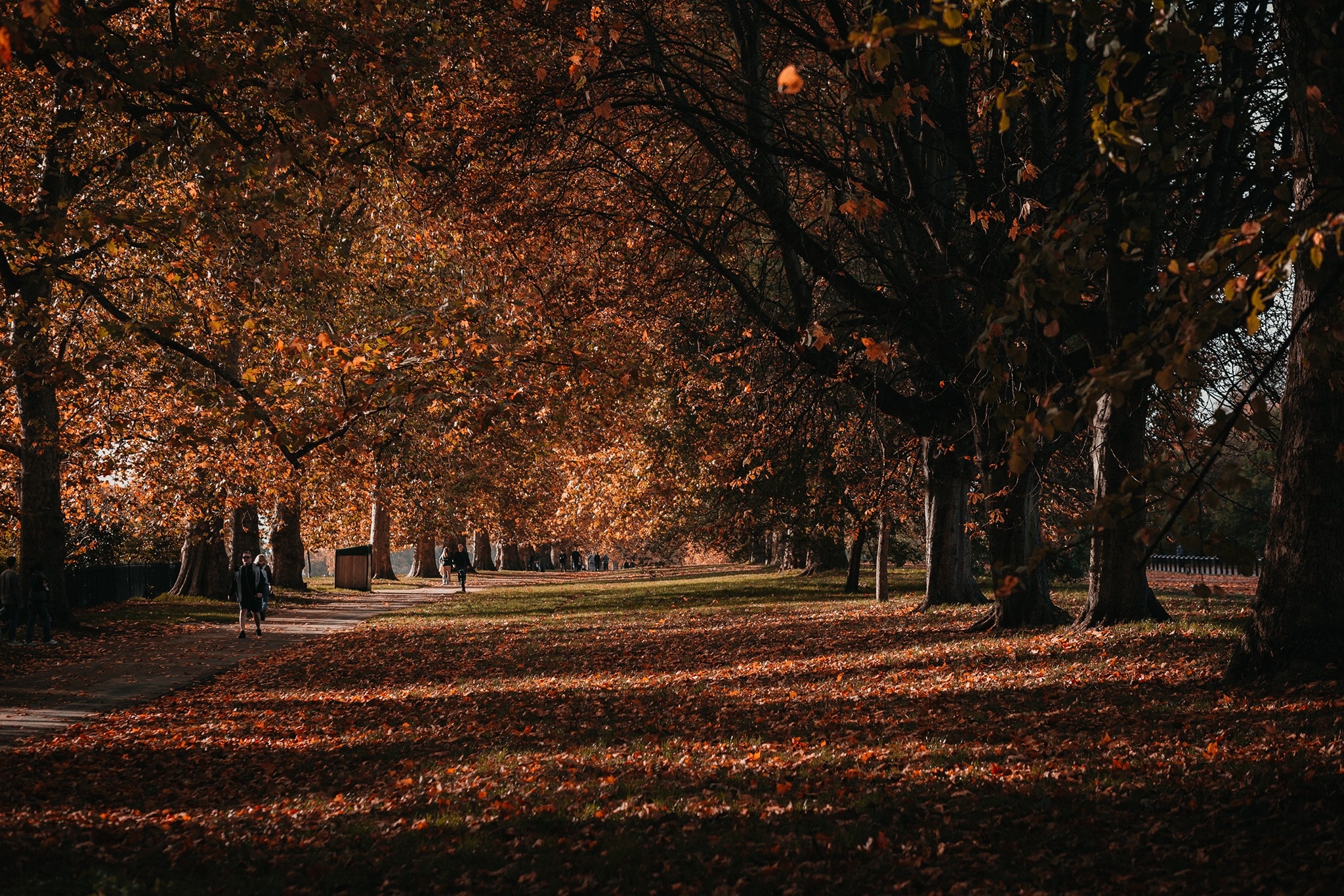 mùa thu ở châu âu ảnh 37 mua thu o chau au anh 37