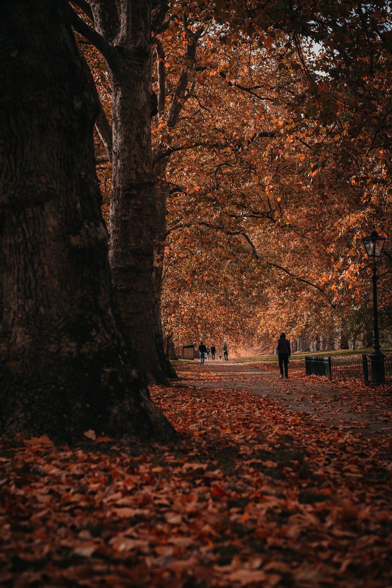 mùa thu ở châu âu ảnh 39 mua thu o chau au anh 39