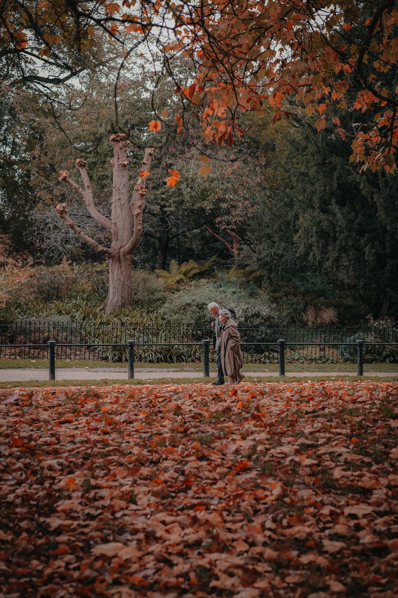 mùa thu ở châu âu ảnh 38 mua thu o chau au anh 38